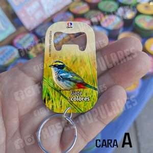 7 Colores y Martín Pescador