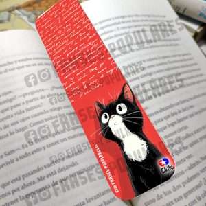 Gato rojo